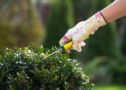 Front garden with tools and pathway in Yiewsley, representing accessible garden services