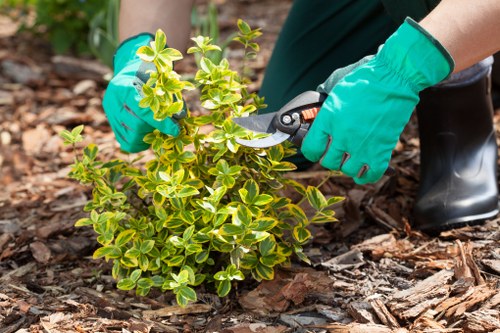 Gardeners clearing communal beds for flats