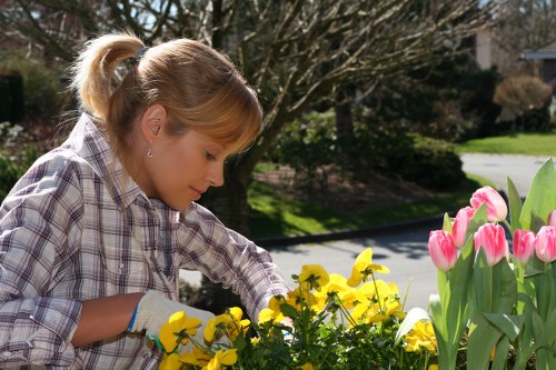 Supervisor conducting a site risk assessment in a residential garden
